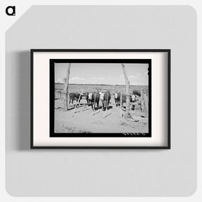 アートポスター-Beef Cattle Herd, Pie Town, New Mexico
 - ラッセル リー Poster.