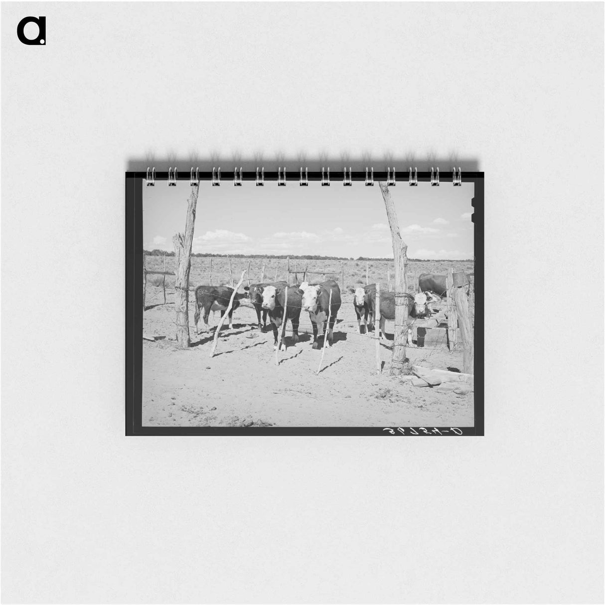 アートメモ帳-Beef Cattle Herd, Pie Town, New Mexico
 - ラッセル リー Memo.