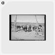 アートポストカード-Beef Cattle Herd, Pie Town, New Mexico
 - ラッセル リー Postcard.