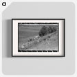 アートポスター-Cows Grazing Along Irrigation Ditch, Penasco, New Mexico
 - ラッセル リー Poster.