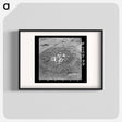 アートポスター-Uprooted Turnips, Point Township, Posey County, Indiana
 - ラッセル リー Poster.