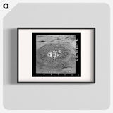 アートポスター-Uprooted Turnips, Point Township, Posey County, Indiana
 - ラッセル リー Poster.