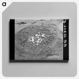 アートパネル-Uprooted Turnips, Point Township, Posey County, Indiana
 - ラッセル リー Canvas.