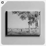 アートパネル-Dairy Herd, Maricopa County, Arizona
 - ラッセル リー Canvas.