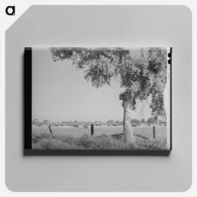 アートパネル-Dairy Herd, Maricopa County, Arizona
 - ラッセル リー Canvas.