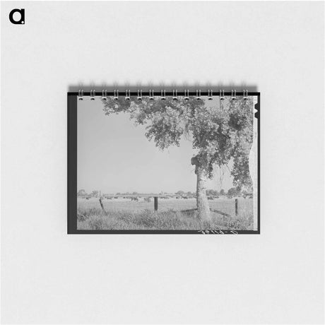 アートメモ帳-Dairy Herd, Maricopa County, Arizona
 - ラッセル リー Memo.