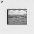 アートメモ帳-Deforestation in San Juan County, Colorado
 - ラッセル リー Memo.