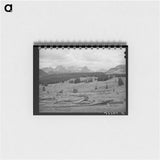 アートメモ帳-Deforestation in San Juan County, Colorado
 - ラッセル リー Memo.