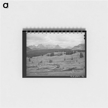 アートメモ帳-Deforestation in San Juan County, Colorado
 - ラッセル リー Memo.