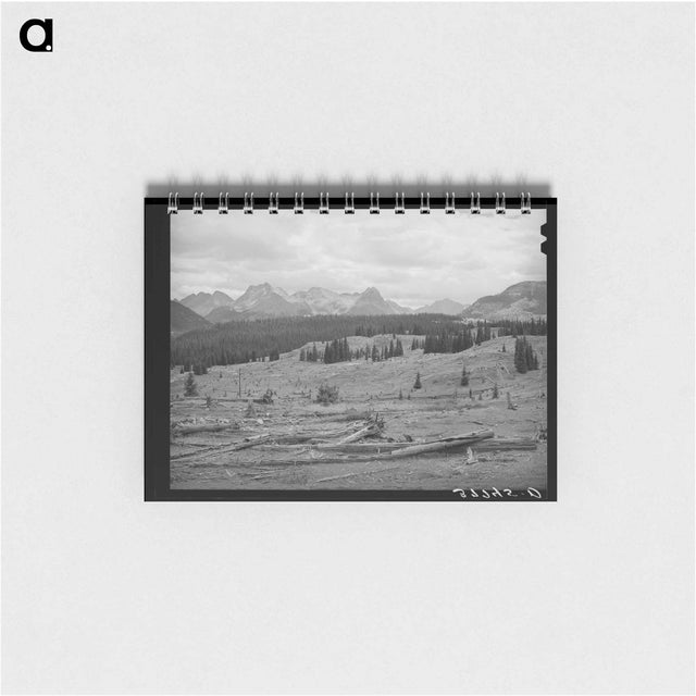 アートメモ帳-Deforestation in San Juan County, Colorado
 - ラッセル リー Memo.