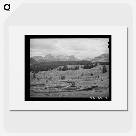 アートポスター-Deforestation in San Juan County, Colorado
 - ラッセル リー Poster.