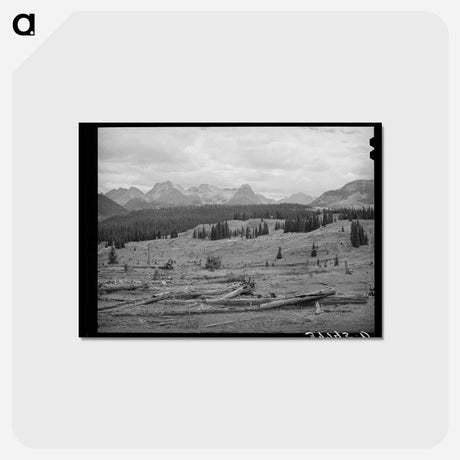 アートポストカード-Deforestation in San Juan County, Colorado
 - ラッセル リー Postcard.