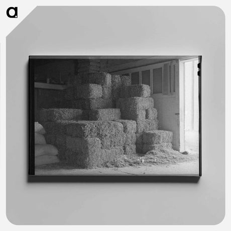 アートパネル-Peanut Hay in Feed Store, Brownwood, Texas
 - ラッセル リー Canvas.