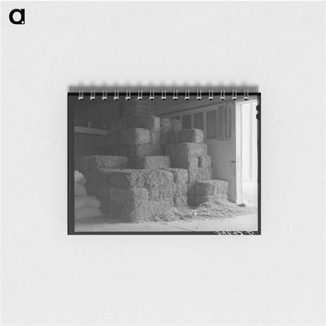 アートメモ帳-Peanut Hay in Feed Store, Brownwood, Texas
 - ラッセル リー Memo.