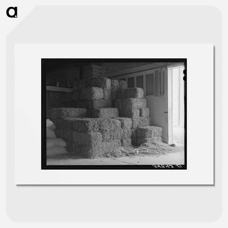 アートポスター-Peanut Hay in Feed Store, Brownwood, Texas
 - ラッセル リー Poster.