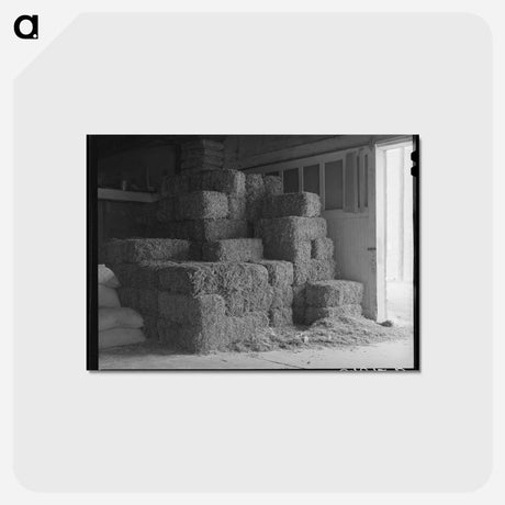 アートポストカード-Peanut Hay in Feed Store, Brownwood, Texas
 - ラッセル リー Postcard.