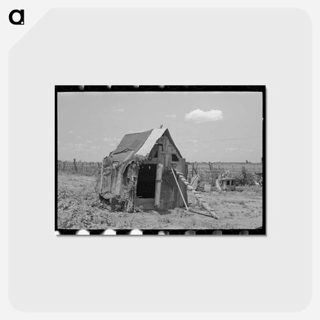 アートポストカード-Chicken House, New Madrid County, Missouri
 - ラッセル リー Postcard.