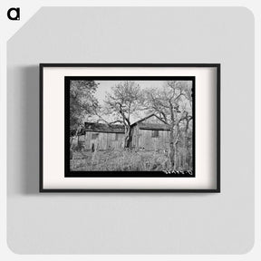 アートポスター-Tenant House, Placer County
 - ラッセル リー Poster.