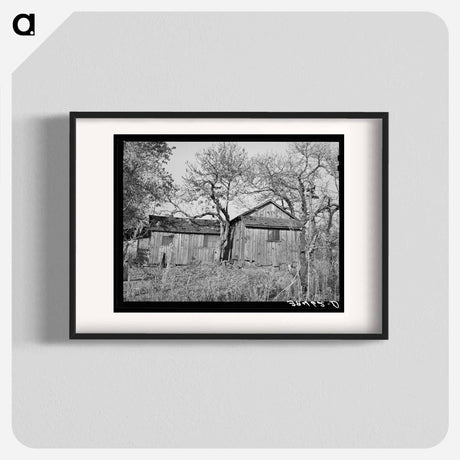 アートポスター-Tenant House, Placer County
 - ラッセル リー Poster.