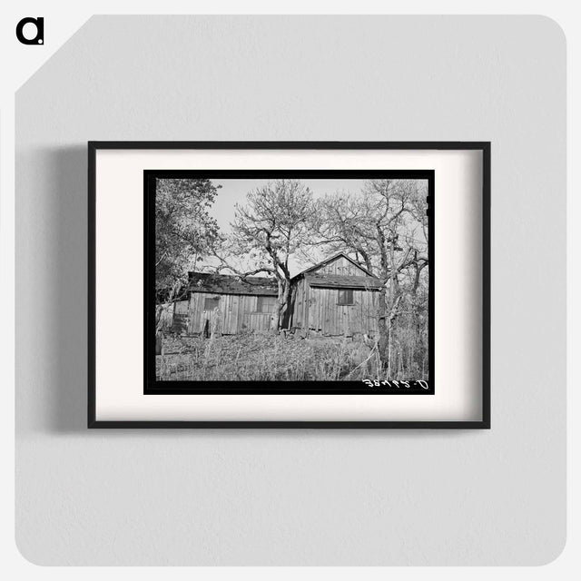 アートポスター-Tenant House, Placer County
 - ラッセル リー Poster.