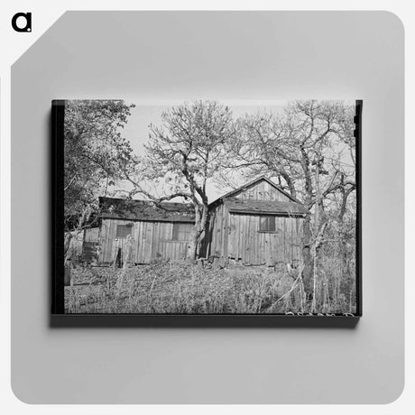 アートパネル-Tenant House, Placer County
 - ラッセル リー Canvas.
