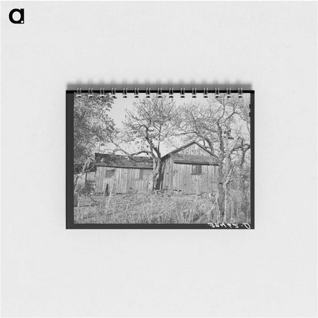 アートメモ帳-Tenant House, Placer County
 - ラッセル リー Memo.
