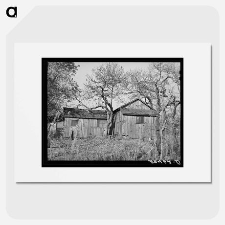 アートポスター-Tenant House, Placer County
 - ラッセル リー Poster.