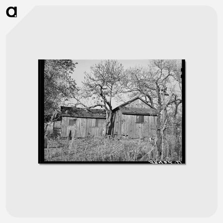 アートポストカード-Tenant House, Placer County
 - ラッセル リー Postcard.