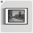 アートポスター-Apache National Forest, Navajo County, Arizona
 - ラッセル リー Poster.