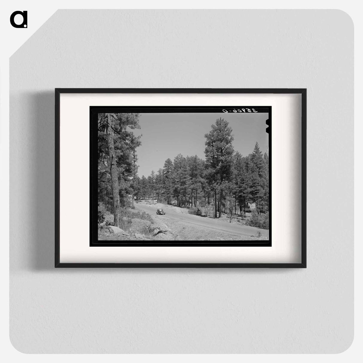アートポスター-Apache National Forest, Navajo County, Arizona
 - ラッセル リー Poster.