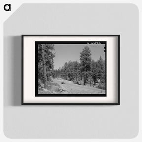 アートポスター-Apache National Forest, Navajo County, Arizona
 - ラッセル リー Poster.