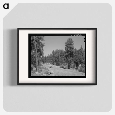 アートポスター-Apache National Forest, Navajo County, Arizona
 - ラッセル リー Poster.