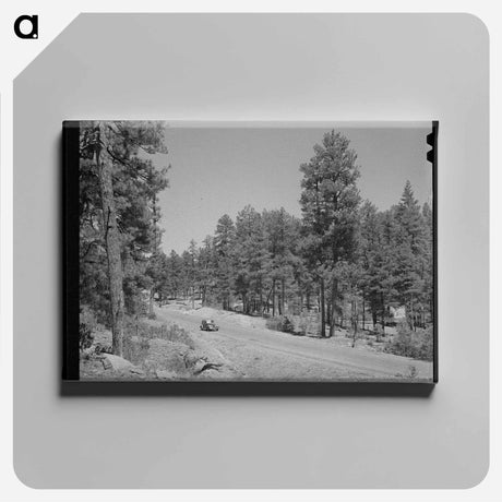 アートパネル-Apache National Forest, Navajo County, Arizona
 - ラッセル リー Canvas.