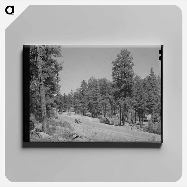 アートパネル-Apache National Forest, Navajo County, Arizona
 - ラッセル リー Canvas.