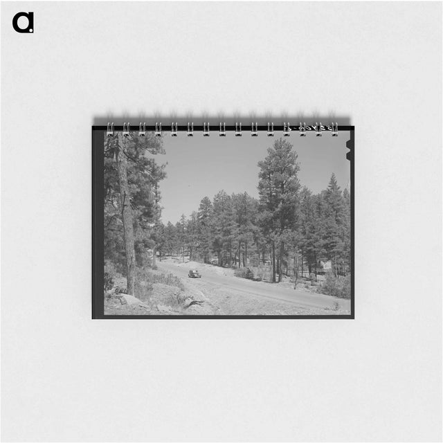 アートメモ帳-Apache National Forest, Navajo County, Arizona
 - ラッセル リー Memo.