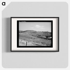 アートポスター-Orchards in the Hills Near Auburn, California
 - ラッセル リー Poster.