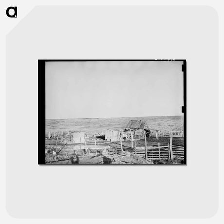 アートポストカード-Outbuildings Near Lake Providence, Louisiana
 - ラッセル リー Postcard.