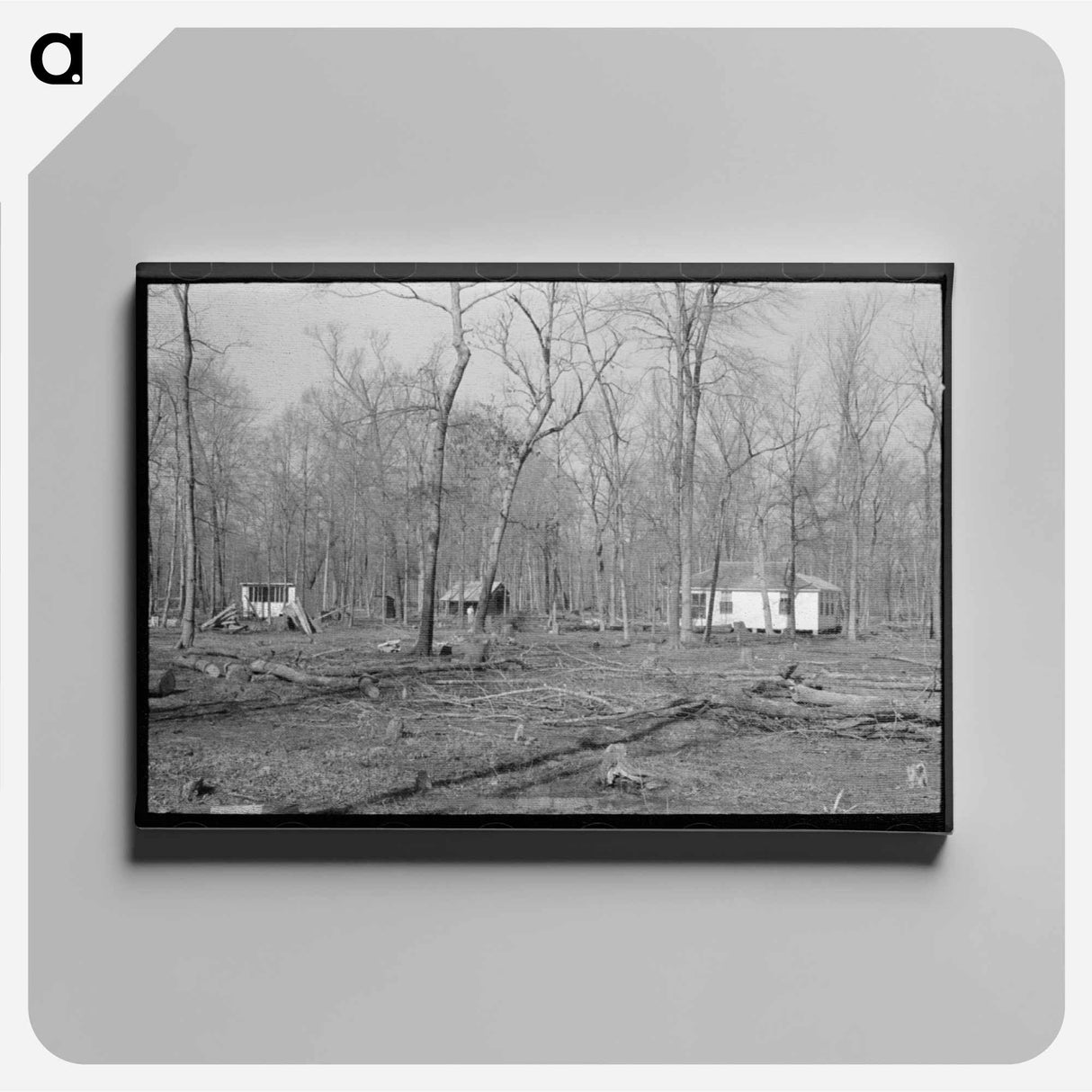 アートパネル-Farmstead, Chicot Farms, Arkansas
 - ラッセル リー Canvas.