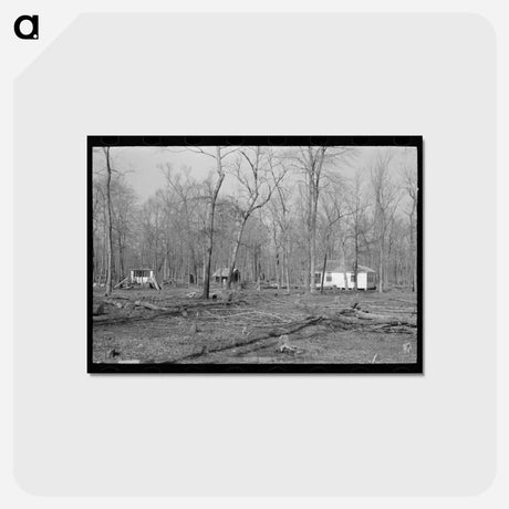 アートポストカード-Farmstead, Chicot Farms, Arkansas
 - ラッセル リー Postcard.