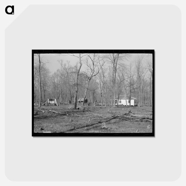 アートポストカード-Farmstead, Chicot Farms, Arkansas
 - ラッセル リー Postcard.