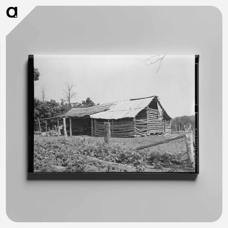 アートパネル-Barn of Indian Tenant Farmer, McIntosh County, Oklahoma
 - ラッセル リー Canvas.