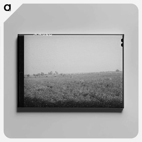 アートパネル-Cotton Field, Mineral King Cooperative Farm
 - ラッセル リー Canvas.