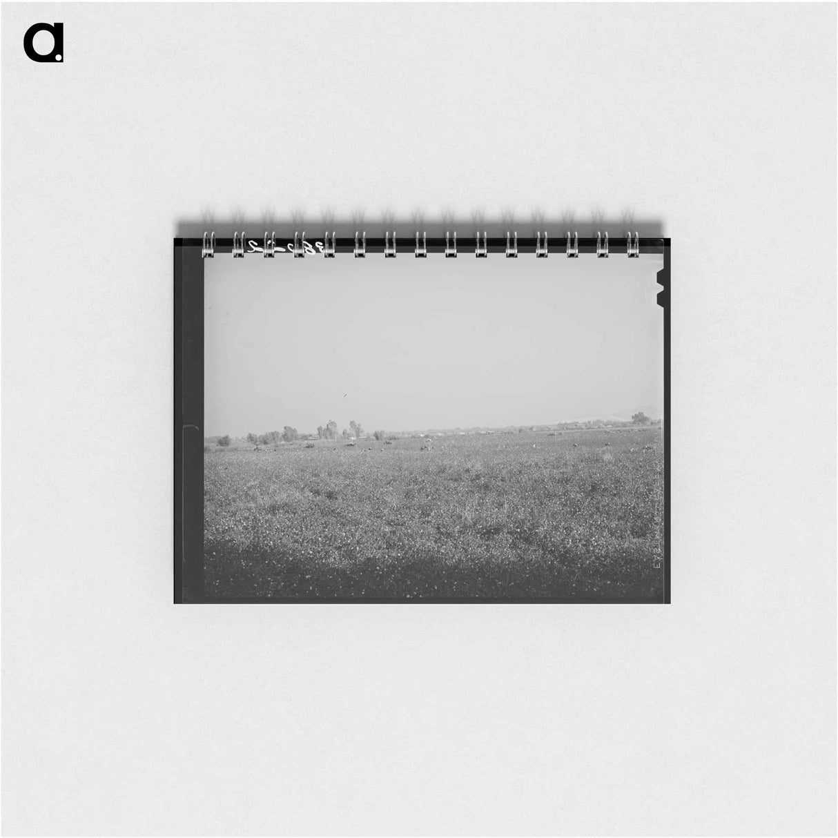 アートメモ帳-Cotton Field, Mineral King Cooperative Farm
 - ラッセル リー Memo.