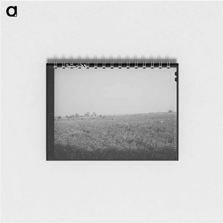 アートメモ帳-Cotton Field, Mineral King Cooperative Farm
 - ラッセル リー Memo.