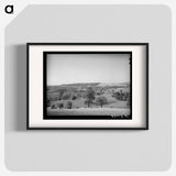 アートポスター-Placer County Farmland and Orchards
 - ラッセル リー Poster.