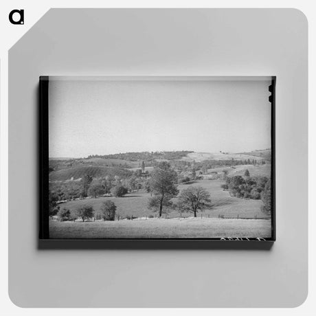 アートパネル-Placer County Farmland and Orchards
 - ラッセル リー Canvas.