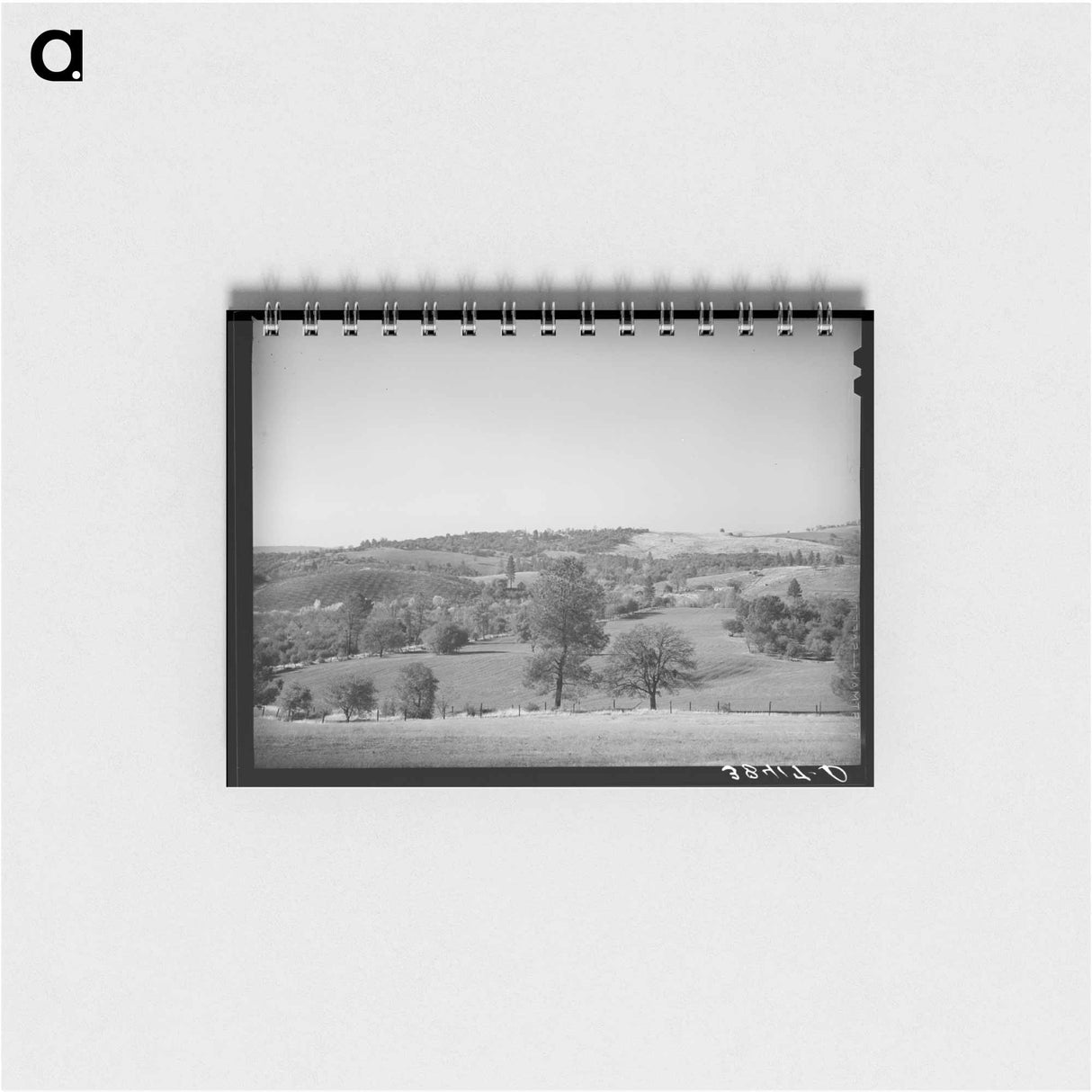 アートメモ帳-Placer County Farmland and Orchards
 - ラッセル リー Memo.