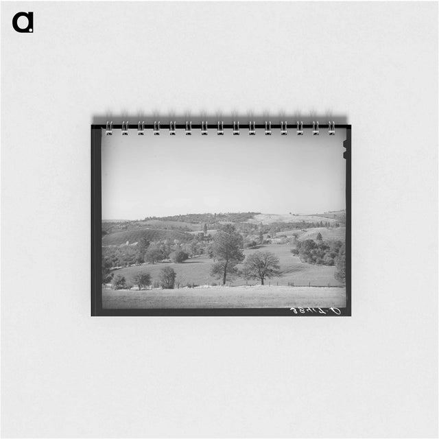 アートメモ帳-Placer County Farmland and Orchards
 - ラッセル リー Memo.