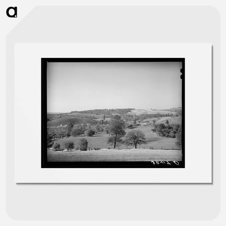アートポスター-Placer County Farmland and Orchards
 - ラッセル リー Poster.