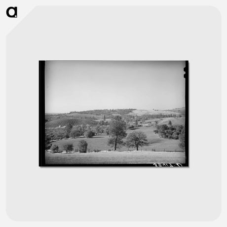 アートポストカード-Placer County Farmland and Orchards
 - ラッセル リー Postcard.